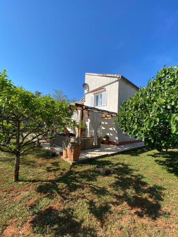 Beautiful Island House Ugljan Apartment Ngoại thất bức ảnh